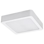 LED panelė Shaun LED 12W 4000K Neutrali balta (Balta)