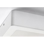LED panelė Shaun LED 12W 4000K Neutrali balta (Balta)
