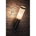 Sieninis lauko šviestuvas Inox torch E27 1x MAX 25W (Chromo)