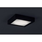 LED panelė Shaun2 LED 15W 4000K Neutrali balta (Juoda)