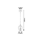 Pakabinamas šviestuvas Petunia E27 1x MAX 15W (Chromo)