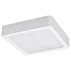 LED panelė Shaun LED 24W 4000K Neutrali balta (Balta)