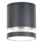 Lubinis lauko šviestuvas Zombor GU10 1x MAX 35W (Antracito)