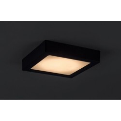 LED panelė Shaun2 LED 15W 3000K Šilta balta (Juoda)