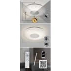 Lubinis šviestuvas Rodion LED 24W 2700-6500K CCT keičiama balta spalva (Balta)