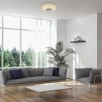 Lubinis šviestuvas Rodion LED 24W 2700-6500K CCT keičiama balta spalva (Balta)