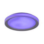 Lubinis šviestuvas Everest LED 40W 2700-6500K CCT keičiama balta spalva (Sidabro)