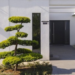 Saulės energija įkraunamas šviestuvas Qesa LED 10W 4000K Neutrali balta (Juoda)
