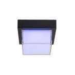 Sieninis lauko šviestuvas Durbe LED 10W 3000-6500K CCT keičiama balta spalva (Juoda)