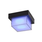 Sieninis lauko šviestuvas Durbe LED 10W 3000-6500K CCT keičiama balta spalva (Juoda)