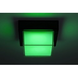 Sieninis lauko šviestuvas Durbe LED 10W 3000-6500K CCT keičiama balta spalva (Juoda)