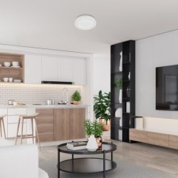 Lubinis šviestuvas Ceilo LED 38W 3000-6500K CCT keičiama balta spalva (Balta)
