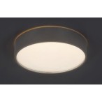 Lubinis šviestuvas Larcia LED 18W 4000K Neutrali balta (Sidabro)