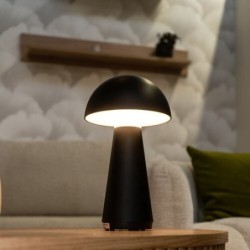 Stalinis šviestuvas Ishtar LED 3W 3000K Šilta balta (Matinė Juoda)