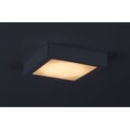 LED panelė Shaun2 LED 15W 3000K Šilta balta (Balta)