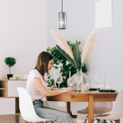 Pakabinamas šviestuvas Veness E27 1x MAX 40W (Matinė Juoda)