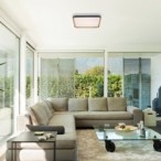 Lubinis šviestuvas Liatris LED 26W 3000K Šilta balta (Pilka)