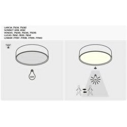 Sieninis šviestuvas Irelia LED 9W 4000K Neutrali balta (Chromo)