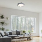 Lubinis šviestuvas Raffa LED 30W 3000K Šilta balta (Pilka)