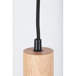 Pakabinamas šviestuvas Braulia GU10 1x MAX 50W (Buko)