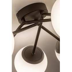 Lubinis šviestuvas Meduza E14 6x MAX 20W (Matinė Juoda)