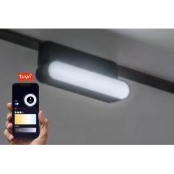 LiTrack magnetinės sistemos šviestuvas Line12V 2700-5500K CCT keičiama balta spalva (Juoda)