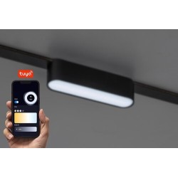 LiTrack magnetinės sistemos šviestuvas Line03V 2700-5500K CCT keičiama balta spalva (Juoda)