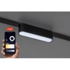 LiTrack magnetinės sistemos šviestuvas Line03V 2700-5500K CCT keičiama balta spalva (Juoda)