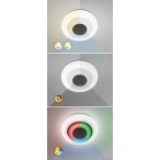 Lubinis šviestuvas Calvin LED 40W 3000-6000K CCT keičiama balta spalva (Balta)