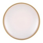 Lubinis šviestuvas Gandor LED 24W 3000K CCT keičiama balta spalva (Juoda)