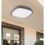 Lubinis lauko šviestuvas Austin LED 20W 4000K Neutrali balta (Antracito)