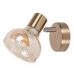 Sieninis šviestuvas Holly E14 1x MAX 40W (Sendinta Aukso)