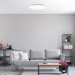 Lubinis šviestuvas Rorik LED 24W 4000K Neutrali balta (Balta)