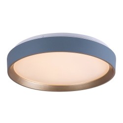 Lubinis šviestuvas Liatris2 LED 24W 3000K Šilta balta (Pilka)