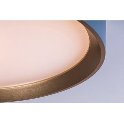 Lubinis šviestuvas Liatris2 LED 24W 3000K Šilta balta (Pilka)