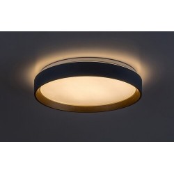 Lubinis šviestuvas Liatris2 LED 24W 3000K Šilta balta (Pilka)