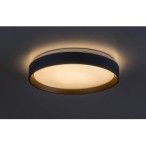 Lubinis šviestuvas Liatris2 LED 24W 3000K Šilta balta (Pilka)