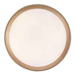 Lubinis šviestuvas Liatris2 LED 24W 3000K Šilta balta (Pilka)