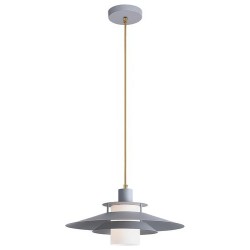 Pakabinamas šviestuvas Cameron E27 1x MAX 40W (Pilka)