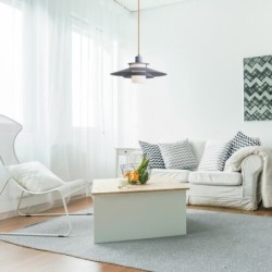 Pakabinamas šviestuvas Cameron E27 1x MAX 40W (Pilka)