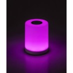 Dekoratyvinis šviestuvas Tipy LED 0.8W 3000K Šilta balta (Balta)