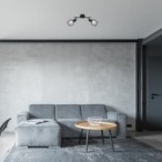 Lubinis šviestuvas Belano E27 2x MAX 40W (Juoda)