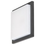 Sieninis lauko šviestuvas Ontario LED 8W 4000K Neutrali balta (Antracito)