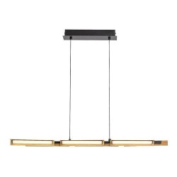 Pakabinamas šviestuvas Remiel LED 30W 3000K Šilta balta (Matinė Juoda)