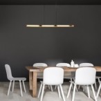 Pakabinamas šviestuvas Remiel LED 30W 3000K Šilta balta (Matinė Juoda)