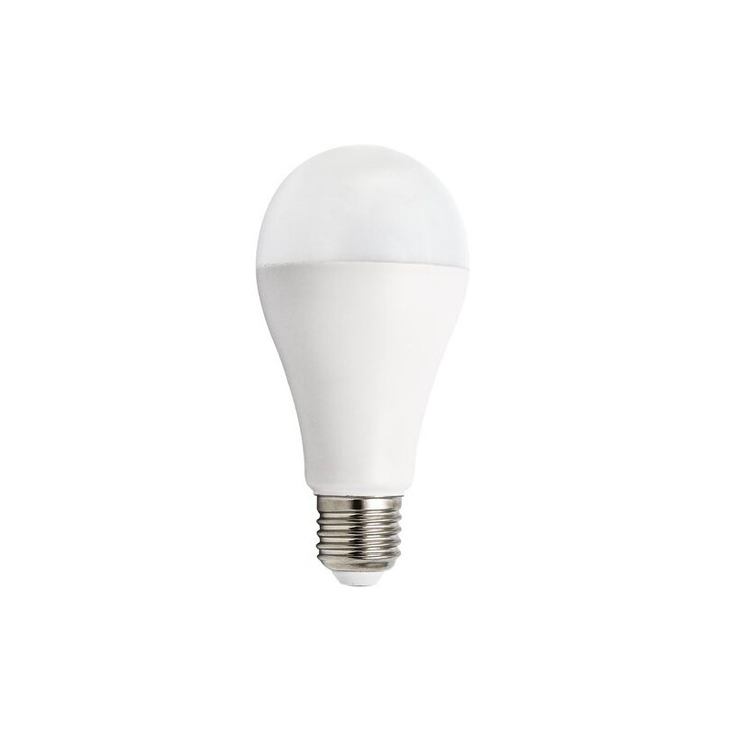 LED lemputė E27 SMD-LED 20W A65 3000K Šilta balta
