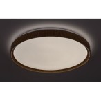 Lubinis šviestuvas Sherwood LED 50W 3000-6500K CCT keičiama balta spalva (Buko)