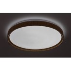 Lubinis šviestuvas Sherwood LED 50W 3000-6500K CCT keičiama balta spalva (Buko)