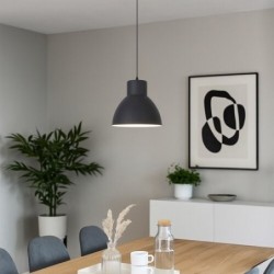 Pakabinamas šviestuvas Derek E27 1x MAX 60W (Antracito)