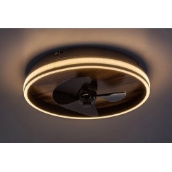 Lubinis šviestuvas Faustine LED 30W 3000-6500K CCT keičiama balta spalva (Juoda)
